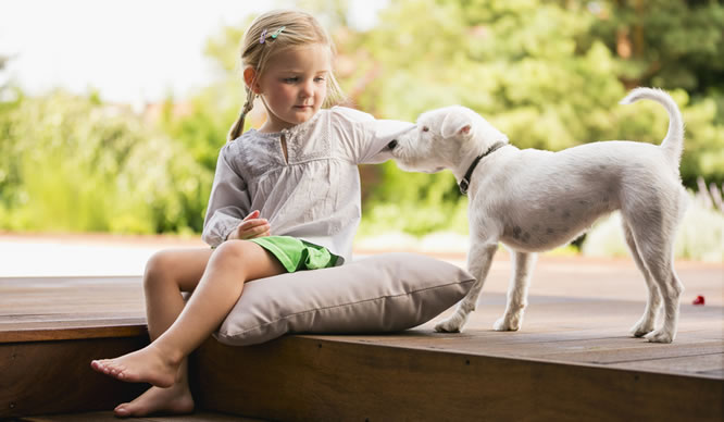 Ein kleines Mädchen streichelt einen Hund