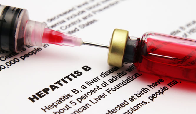 Ein Serum gegen Hepatitis B