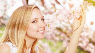 Eine hübsche junge Frau schnuppert an Kirschblüten