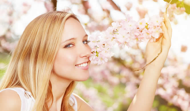 Eine hübsche junge Frau schnuppert an Kirschblüten