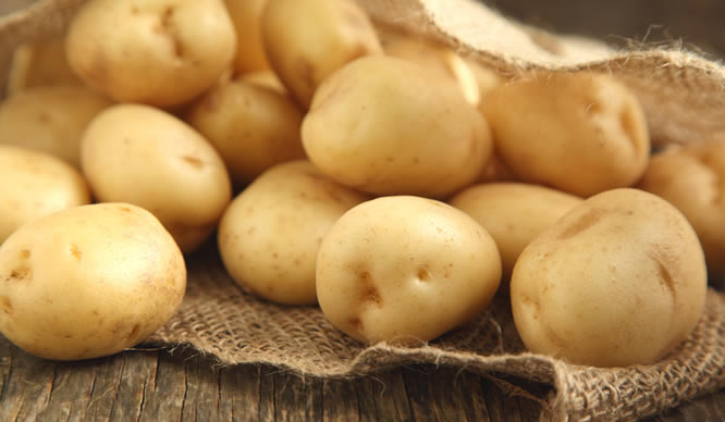 Frische Kartoffeln in einem Leinensack